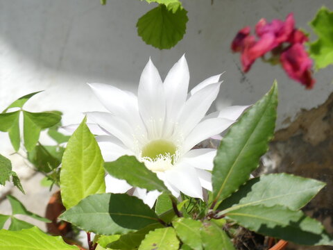 彩票中奖激动时刻